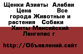 Щенки Азиаты (Алабаи) › Цена ­ 20 000 - Все города Животные и растения » Собаки   . Ханты-Мансийский,Лангепас г.